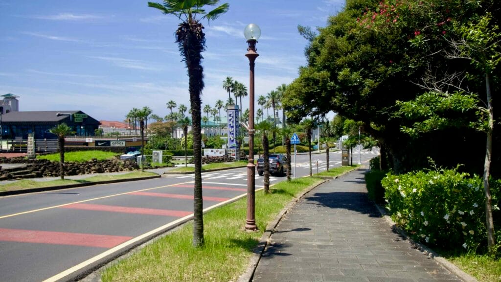 Palms and sidewalks inside the Jungmun Tourist Complex.