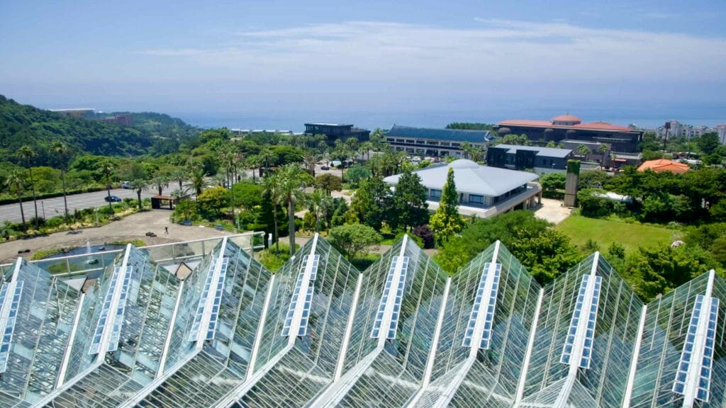 Sawtooth greenhouse roofs with sea beyond at Jungmun.