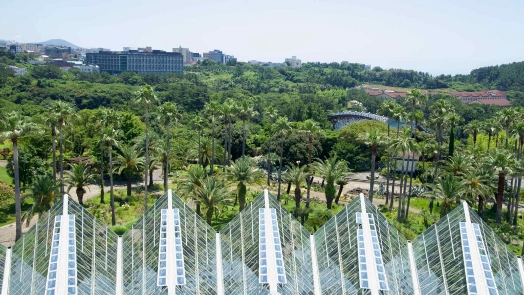Greenhouse rooflines and palm groves from Yeomiji’s deck.