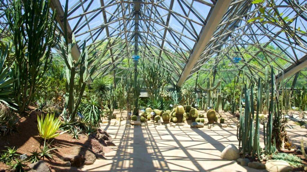 The desert greenhouse at Yeomiji Botanical Garden displays golden barrel cacti, columnar species, and agaves.
