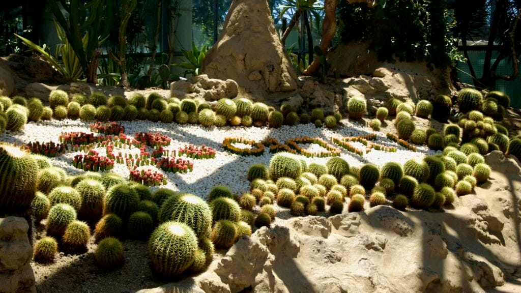 A patterned bed in Yeomiji’s desert house uses grafted cacti and colored pebbles.