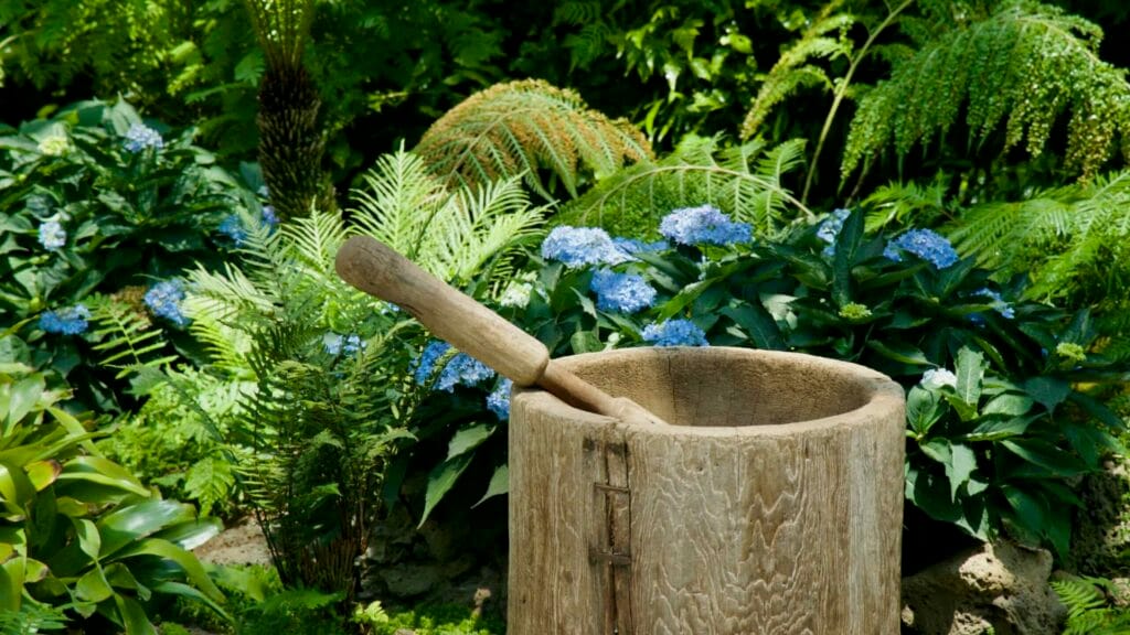 Traditional wooden mortar and pestle among hydrangeas and ferns at Yeomiji.