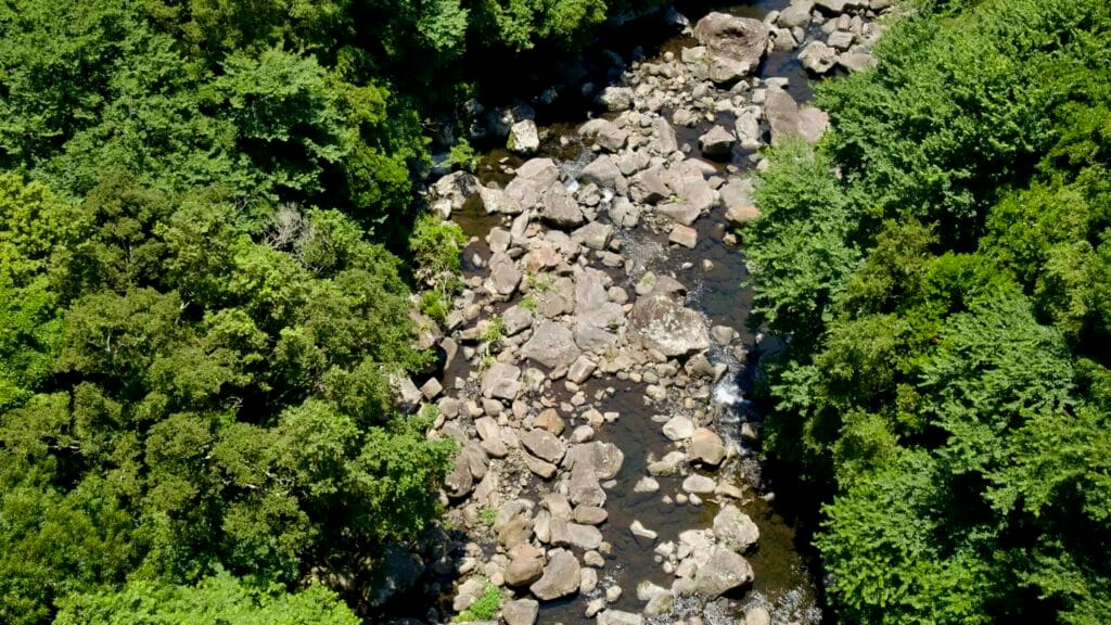 Straight‑down view of rocky streambed beneath Seonim‑gyo in Cheonjeyeon.