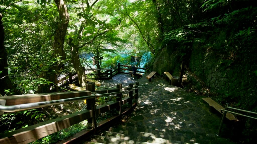 Shaded stone steps and benches leading down to the Cheonjeyeon pool.