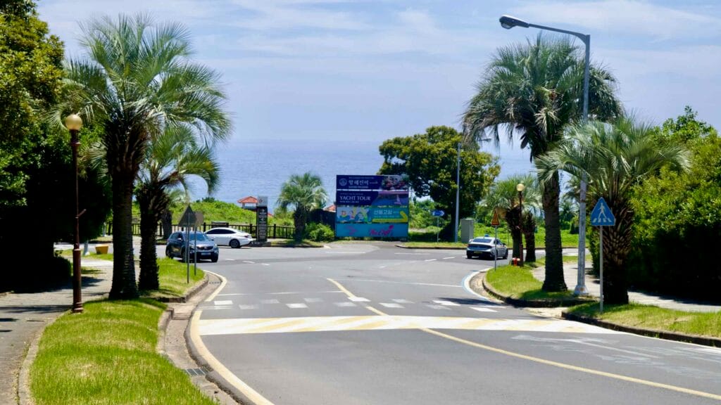Palm‑framed junction with signs toward the sea at Jungmun.