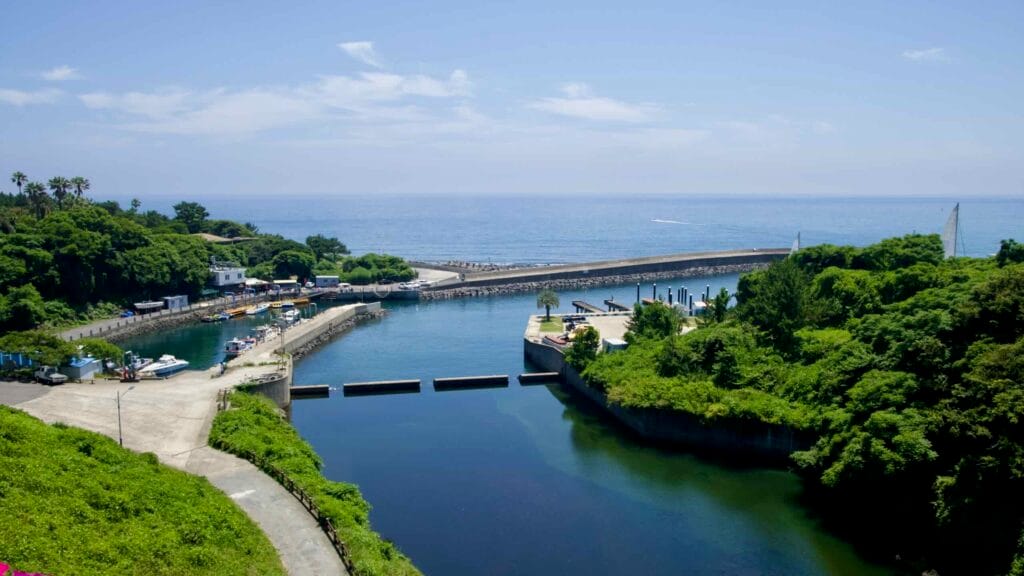 Daepo Port’s inlet and breakwaters open to the sea with moored boats and forested headlands.