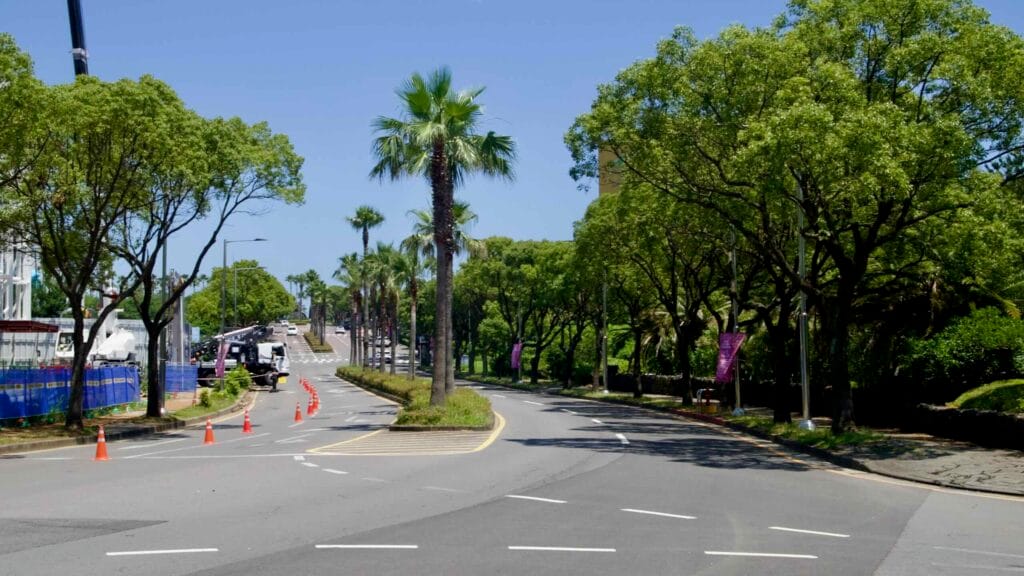 Palm trees line a broad boulevard climbing through the Jungmun resort district.