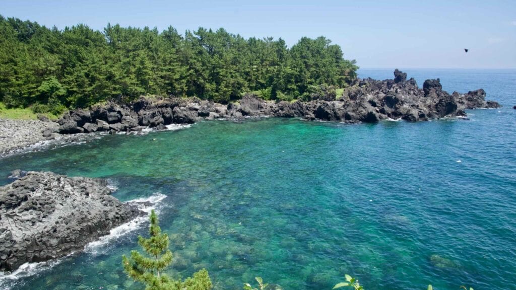 Emerald waters meet basalt cliffs at Daepo Jusangjeolli on Jeju Island.