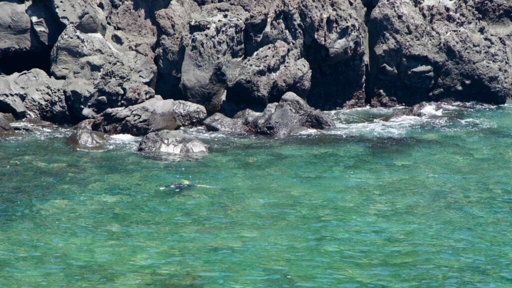 Basalt cliffs and pine forests meet the sea at Daepo Jusangjeolli.
