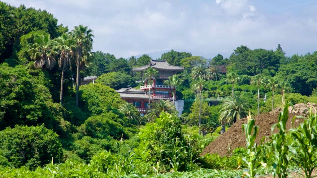Yakcheonsa Temple stands on a hillside in Seogwipo surrounded by palms and greenery.