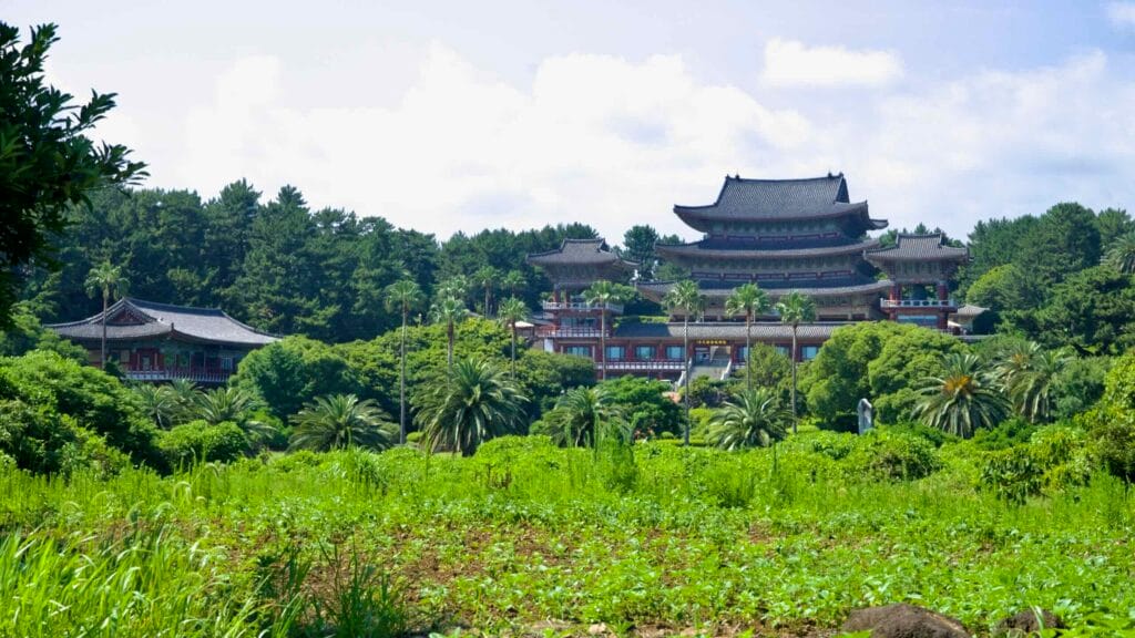 Wide view of Yakcheonsa Temple beyond palms and crop fields beneath a forested ridge.