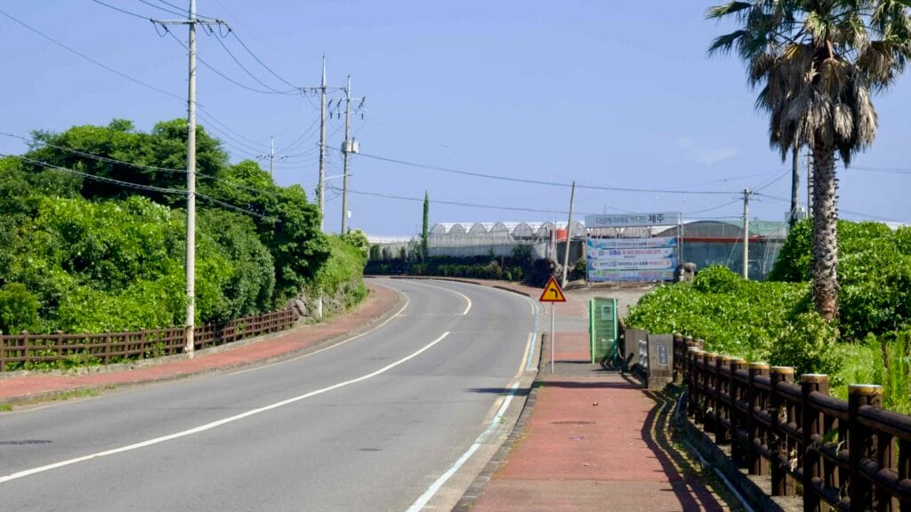 A curving road climbs beside greenhouses with red walking paths and a lone palm.