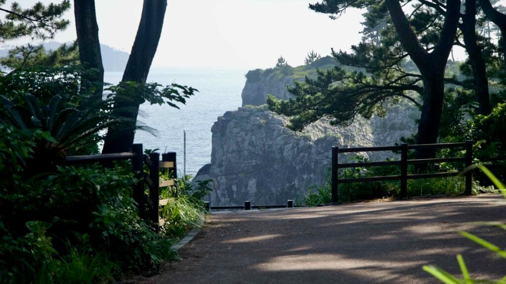 A coastal path shaded by pines leads to a clifftop overlooking the sea.