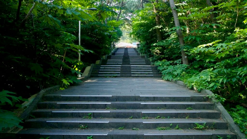 Shaded stone steps on the hiking route to Oedolgae Rock.