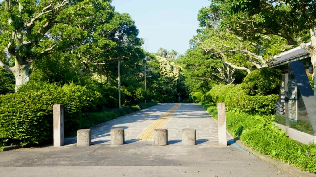A shaded, tree‑lined approach with a tactile strip leads toward the Jeongbang Falls park.