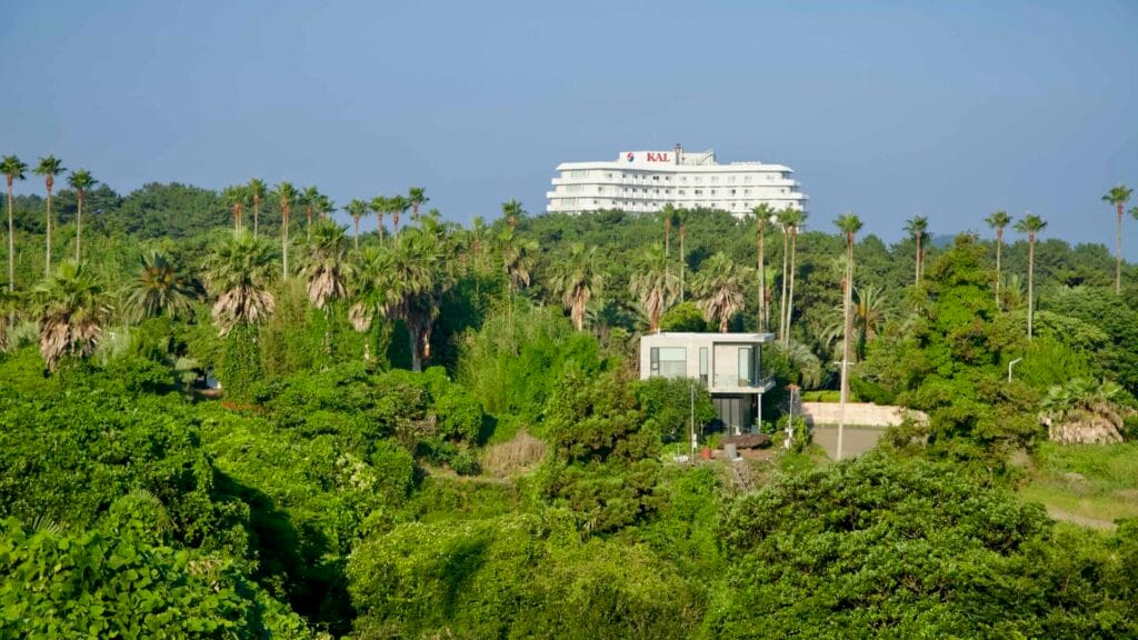 Seogwipo KAL Hotel rises above palms and dense greenery.