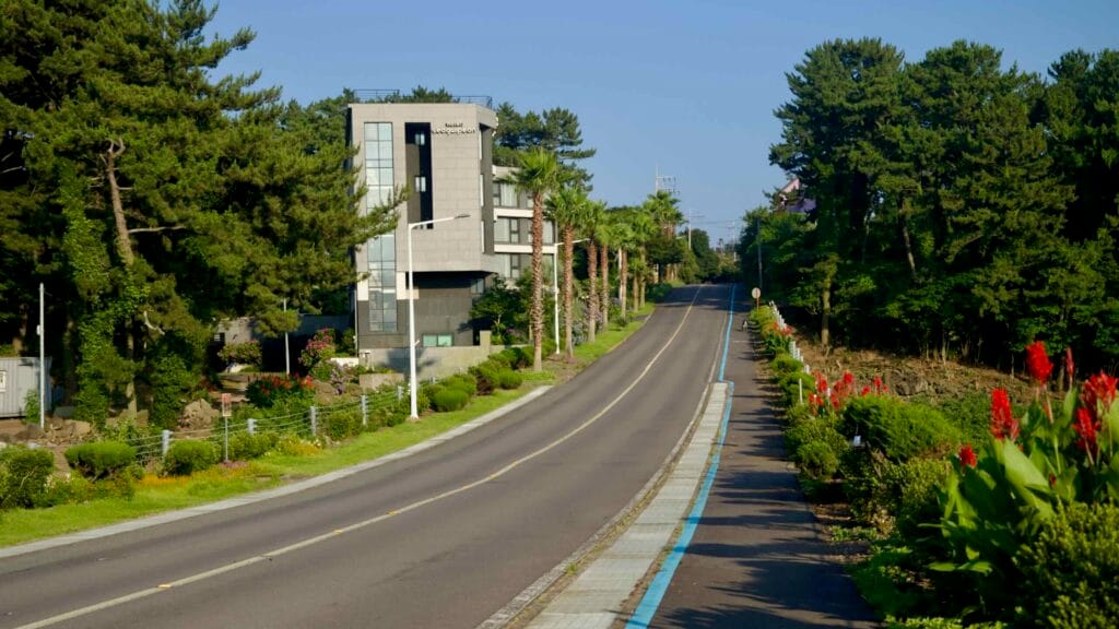 A palm‑lined hill road passes a modern lodge and gardens.