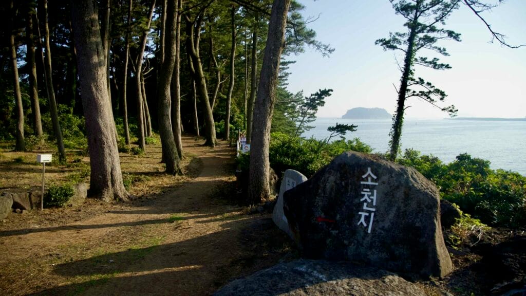 A pine path overlooks the sea at Socheonji on the Jaguri coast.