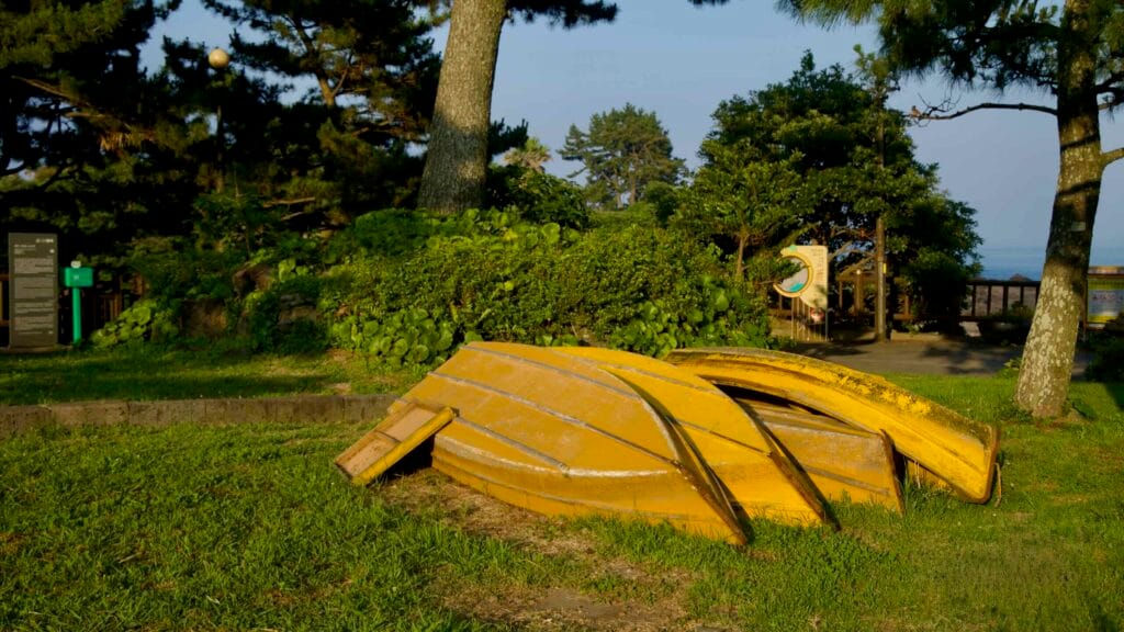 Overturned yellow rowboats rest on the lawn beneath trees at Soesokkak.