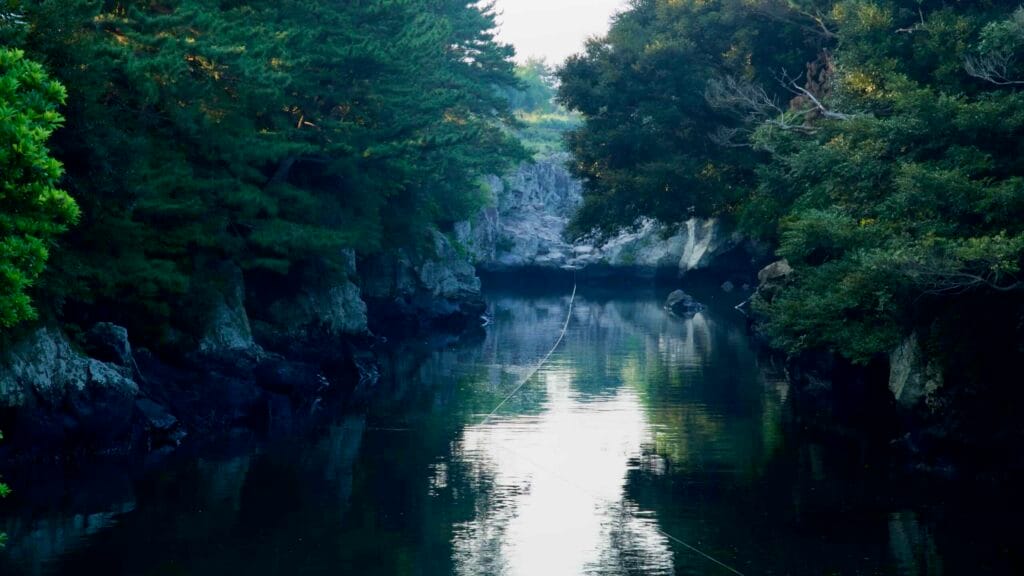 A quiet gorge of dark lava cliffs and pines holds still water at Soesokkak.