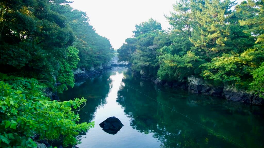 Trees reflect in the calm green water of the Soesokkak gorge.