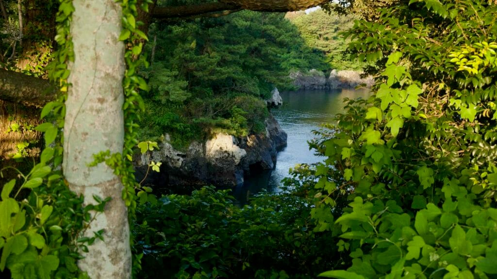 Wooden boardwalks and stairs climb through dense forest above the estuary at Soesokkak.