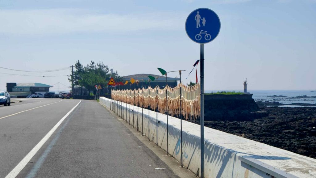 Fresh squid dry on ropes along the coastal road near Namwon Port.