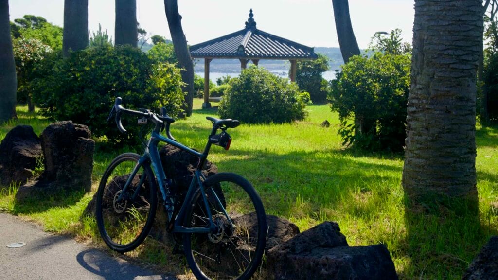 A bicycle leans on lava stones by palms and a pavilion at a Taeheung coastal park.