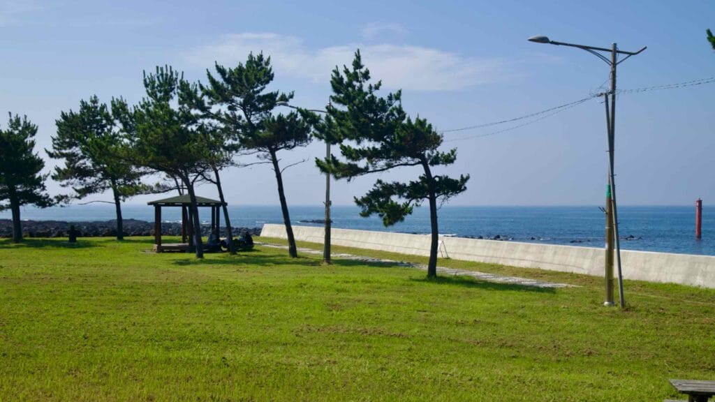 A park lawn with pines and a pavilion sits behind a coastal seawall at Taeheung.