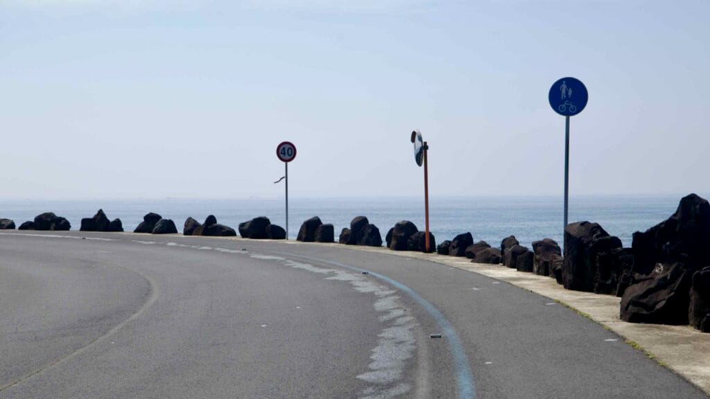 Traffic and shared path signs mark a seaside curve with a bike lane at Taeheung.