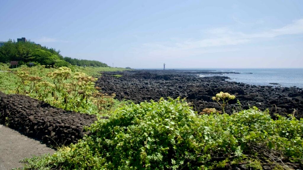 Basalt fields and scrub along White Hill with a distant lighthouse.