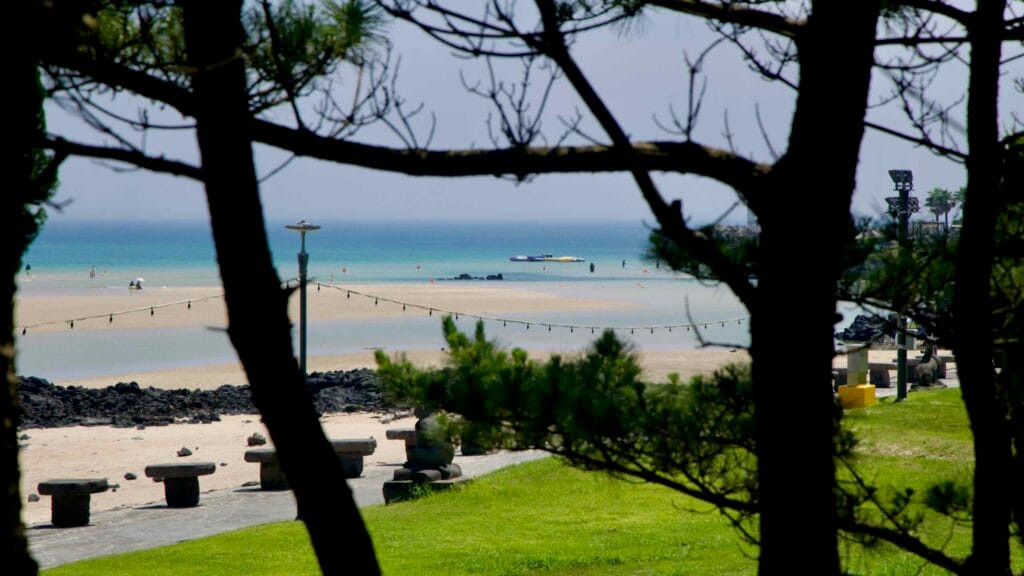 Shore pines frame Pyoseon’s lagoon where people wade at low tide. Stone stools line the promenade.
