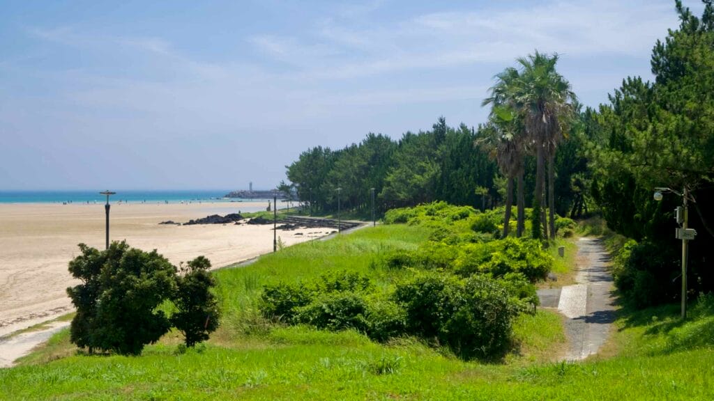 A narrow path follows the forest edge beside Pyoseon Beach toward the shore.