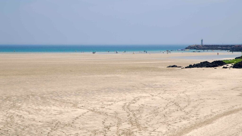 Visitors cross the wide tidal flats at Pyoseon Beach during low tide.