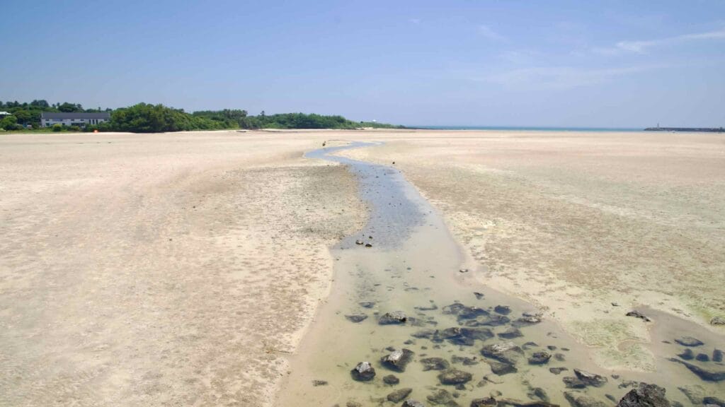 A shallow tidal channel winds across the exposed flats at Pyoseon.
