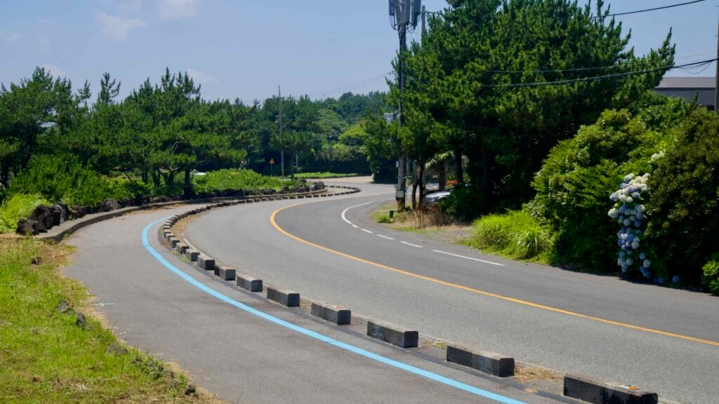 Hydrangeas edge a curving coastal bike lane leading toward the Seopjikoji cape.