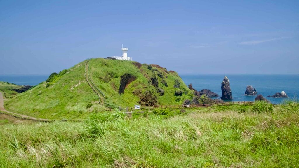 A grassy valley opens between the lighthouse hill and a cantilevered café, with horses below.