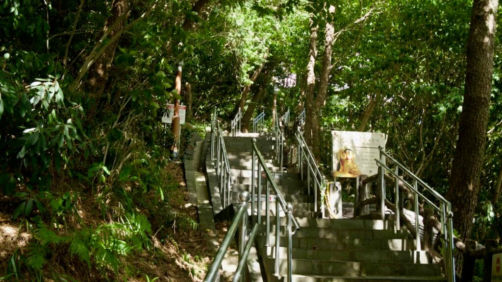 A stone stairway with railings leads through shaded forest toward Bomunsa Temple on Jeju.
