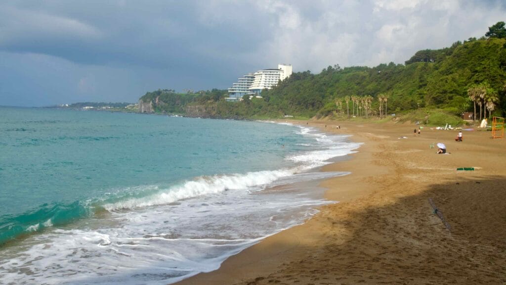A sweeping view of Jungmun Saekdal Beach shows rolling waves, a broad Jinmosal strand.