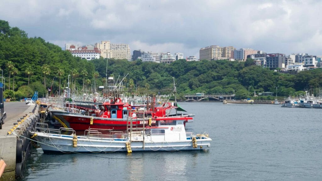 Fishing boats line the quay at Seogwipo Port.
