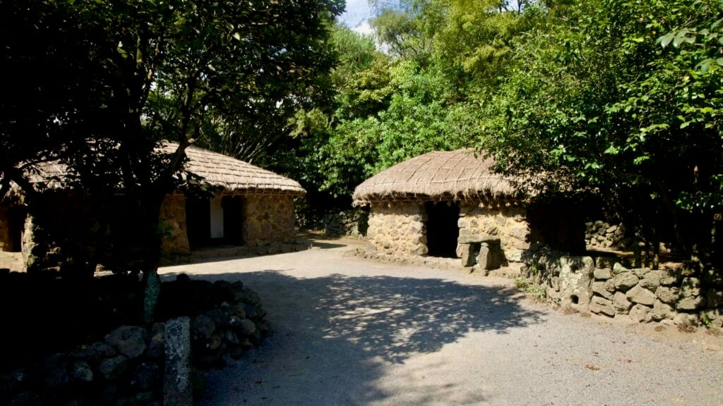 Two low thatched cottages share a yard behind basalt walls at Jeju Folk Village, surrounded by framing trees.