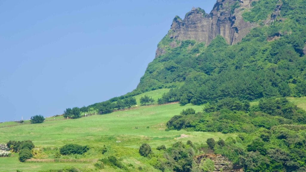 Seongsan Ilchulbong’s vertical rock faces rise above the reef, with green fields stepping down.