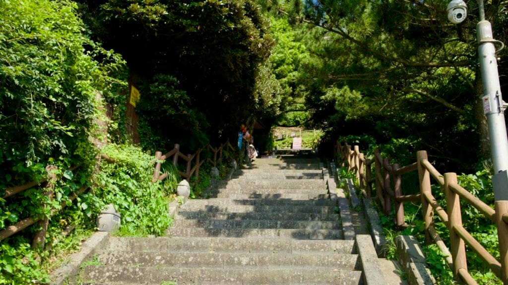 Steep concrete steps climb through green vegetation on Seongsan Ilchulbong’s scenic trail.