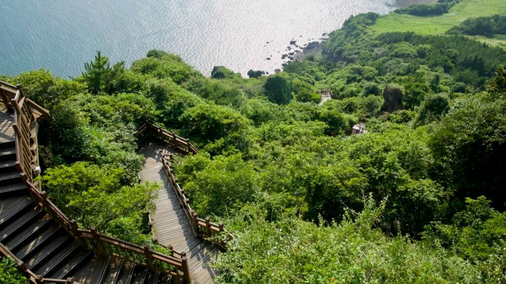 A zigzag of wooden staircases threads through dense foliage on Seongsan Ilchulbong.