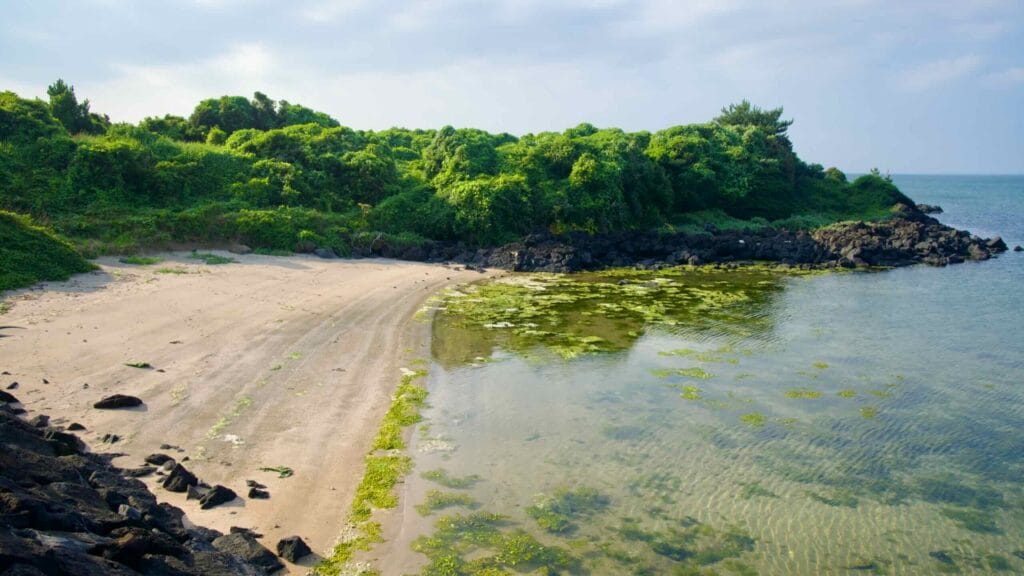 A quiet sandy cove near Ojo-ri curves between dark basalt rocks and lush coastal greenery.
