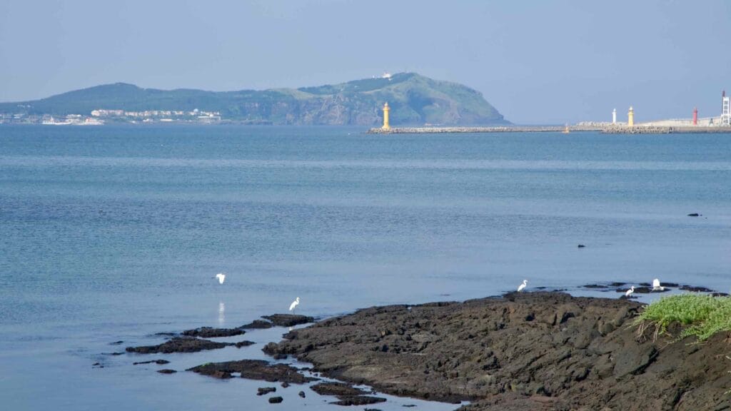 Yellow breakwater lighthouses mark the harbor entrance near the town of Seongsan.