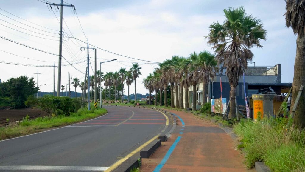 A palm-lined coastal cycle path passes cafés and utility poles near Dumun Port.