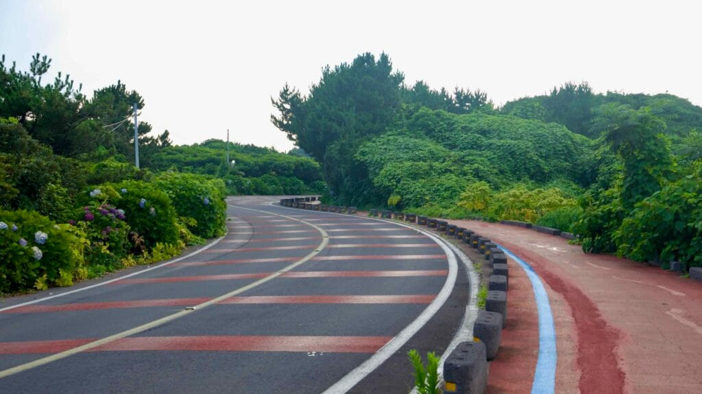 The coastal road and red bike path sweep past blooming hydrangeas near Gomangnandol.