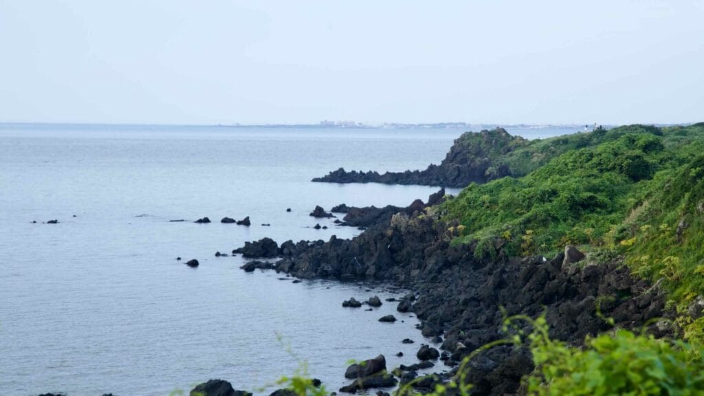 A vine-covered headland and dark lava rocks meet the blue East Sea near Hado.