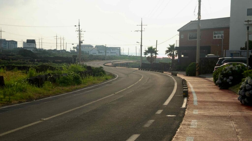A curving coastal road and red bike path wind through blooming hydrangeas in Hado.